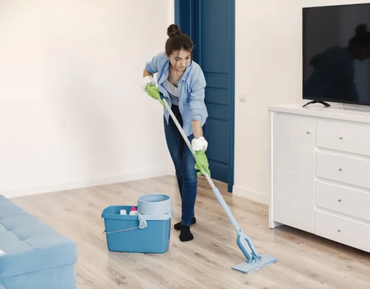 Femme de ménage Houplines